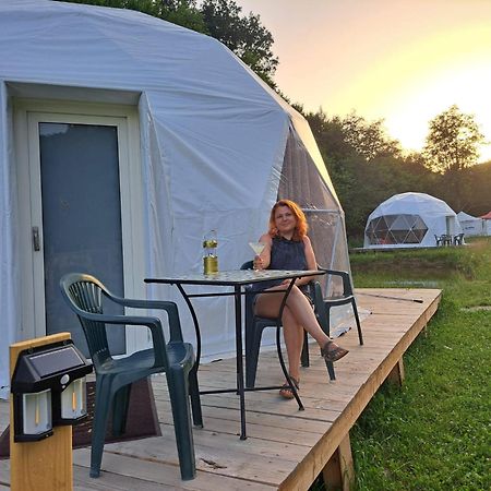 Forest Glamping 브라쇼브 외부 사진