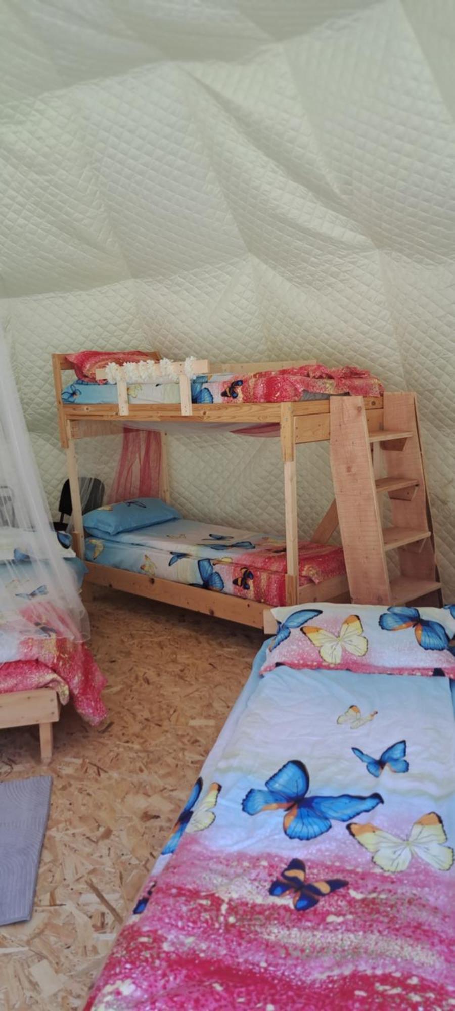 Forest Glamping 브라쇼브 외부 사진