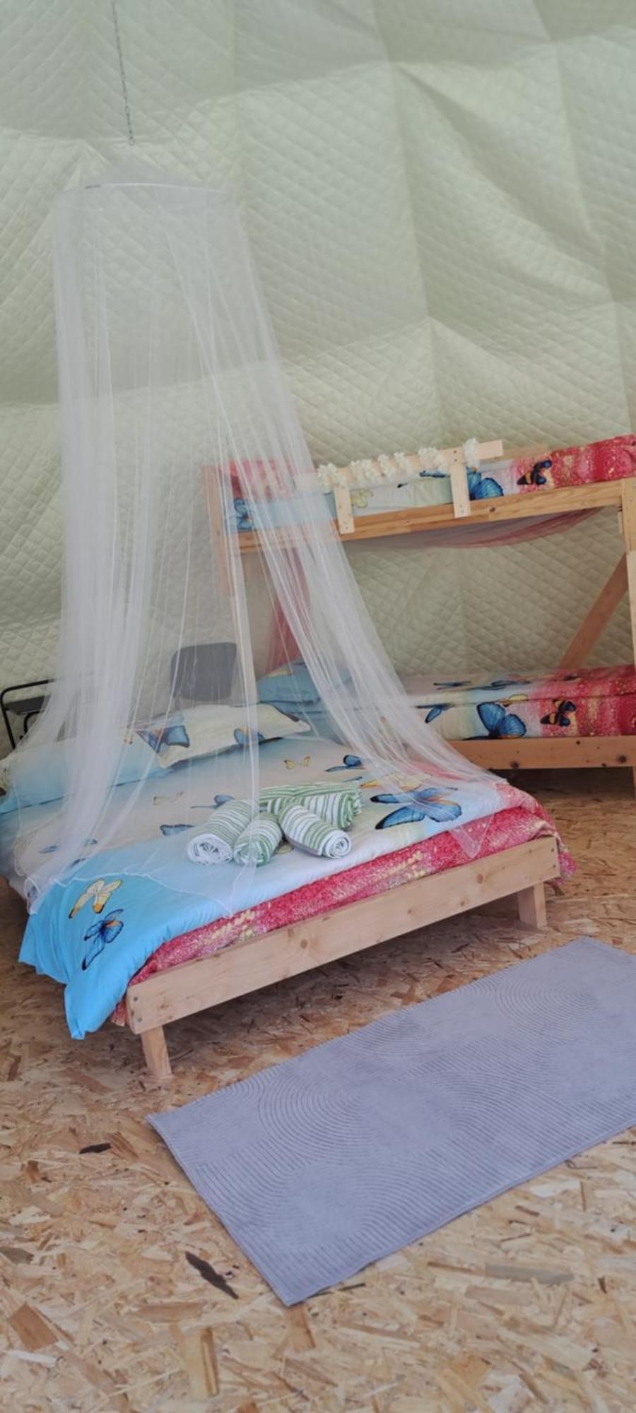 Forest Glamping 브라쇼브 외부 사진