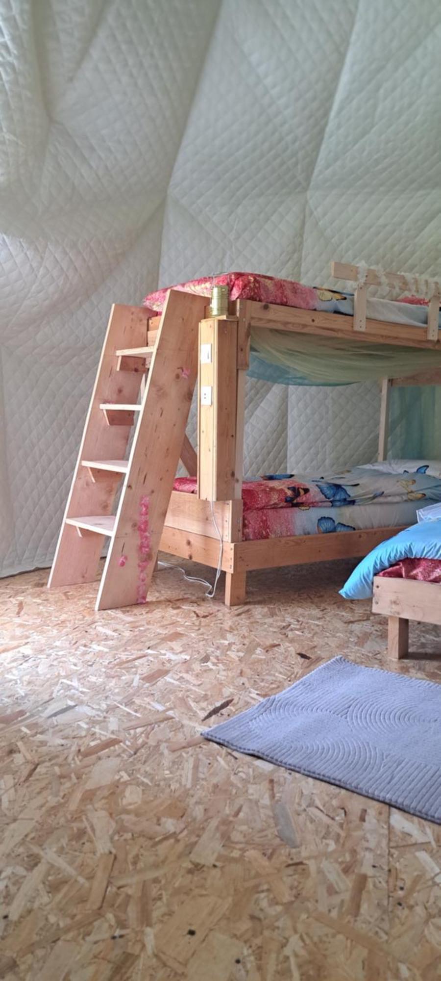 Forest Glamping 브라쇼브 외부 사진