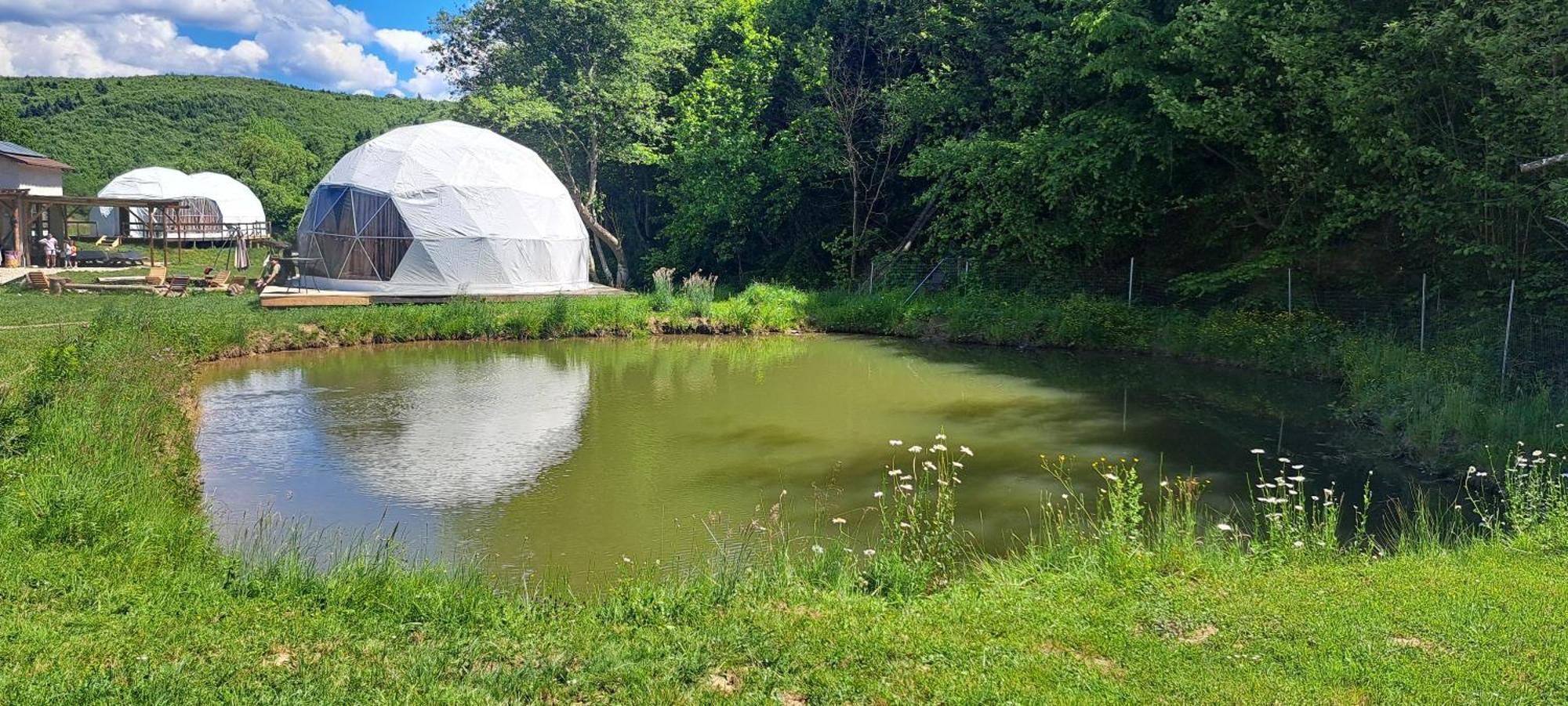 Forest Glamping 브라쇼브 외부 사진