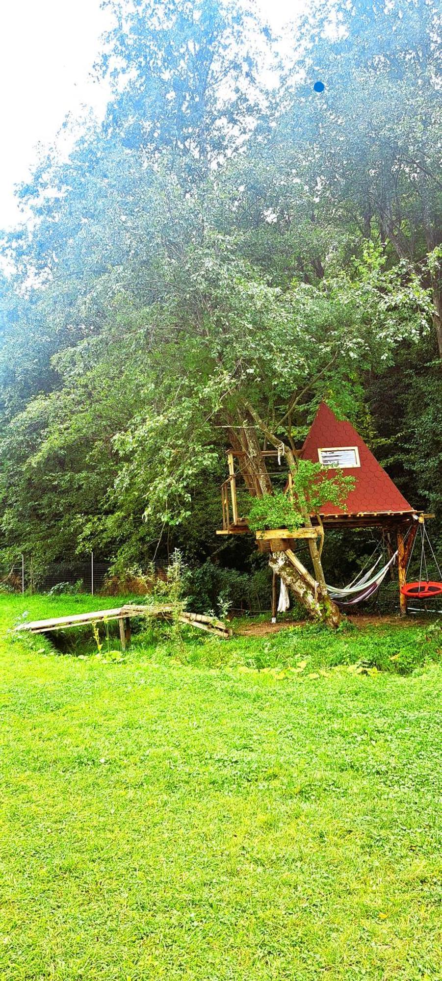 Forest Glamping 브라쇼브 외부 사진